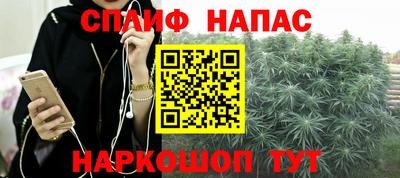 PSILOCYBIN Заводоуковск