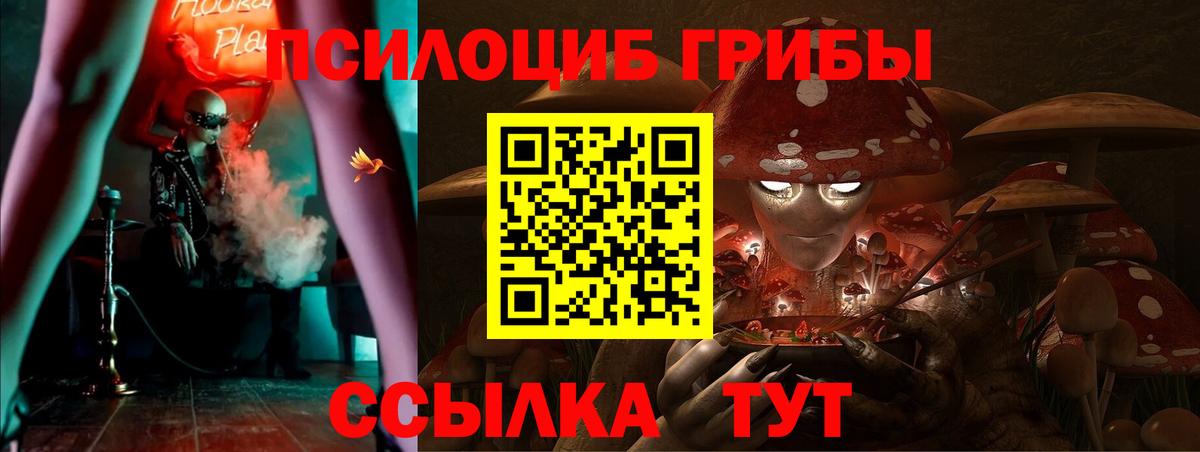 Галлюциногенные грибы Cubensis  Вход с VPN  где купить наркоту  Кимры  Псилоцибиновые грибы прущие грибы 